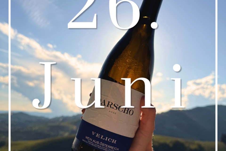 Eine Person hält eine Flasche Wein mit der Aufschrift "Vellich" in der Hand. Im Hintergrund sind sanfte Hügel und ein klarer, blauer Himmel zu sehen. | © Das Weinkitz