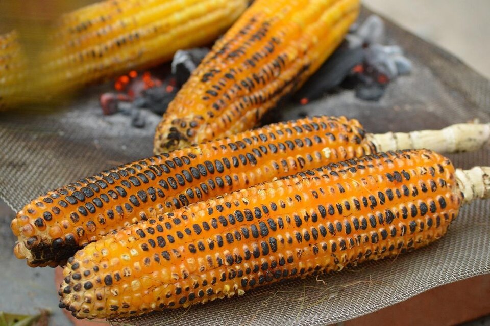 Gerösteter Mais befindet sich auf einem Grill. Die Körner sind goldbraun und zeigen grillierte Stellen.