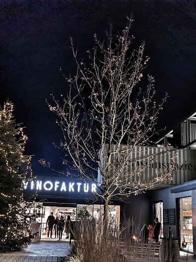 A festively illuminated scene with a large Christmas tree and a building featuring the inscription "VINOFAKTUR". The atmosphere is in the evening, and the image radiates an inviting mood. | © Vinofaktur im Genussregal