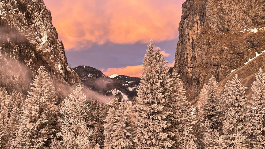 Eine winterliche Landschaft mit schneebedeckten Tannen und steilen, felsigen Bergen. Der Himmel leuchtet in sanften Rosa- und Lilatönen beim Sonnenuntergang. | © Paul Strasser