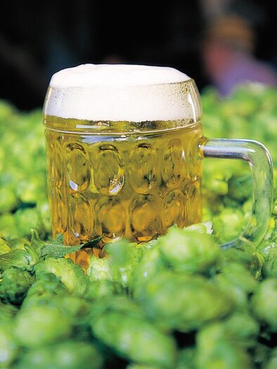 Krug mit hellem Bier auf frischen Hopfendolden beim Bierfest in Semriach. | © Steiermark Tourismus-Harry Schiffer