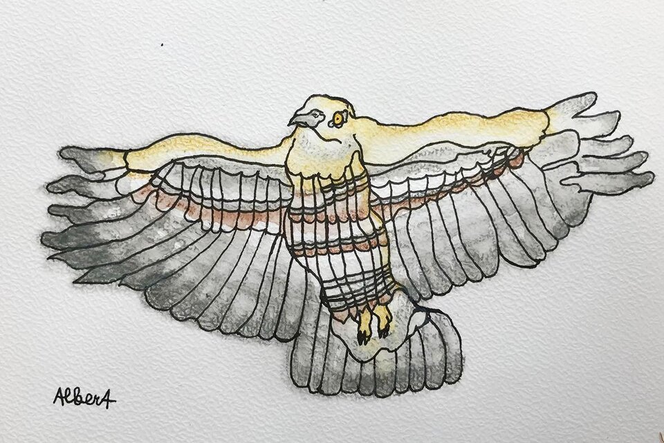 Eine stilisierte Zeichnung eines majestätischen Vogels im Flug. Die Flügel sind weit ausgebreitet und zeigen unterschiedliche Farbtöne. | © Albert Masser