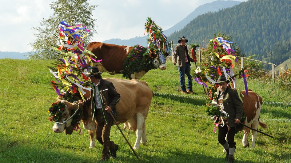 Almabtrieb, Bauern mit geschmückten Vieh | © Josef Wieser