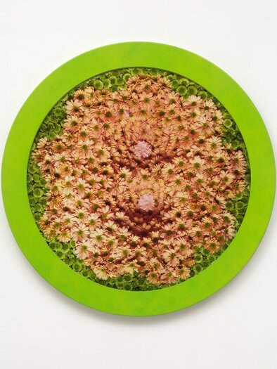 A round composition with pink and green floral motifs. The background is in a bright green color. | © ©Estate_of_Helen_Chadwick.