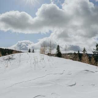 Winterlandschaft | © Schilcherland Steiermark