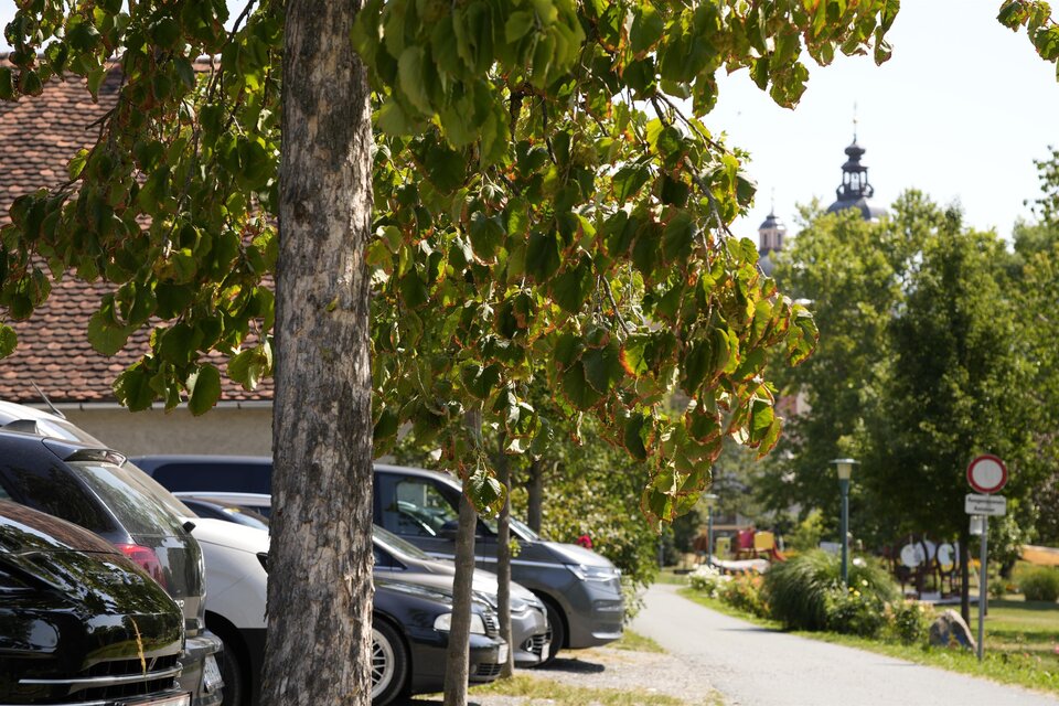 Öffentlicher Parkplatz Schosspark Pöllau - Impression #1 | © Tourismusverband Oststeiermark