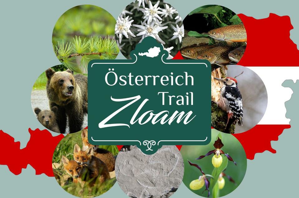 Austrian trail zloam - Impression #1 | © Narzissendorf Zloam