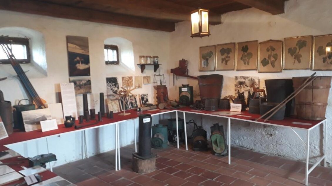 Ein historischer Ausstellungsraum mit verschiedenen Werkzeugen und Kunstwerken. An den Wänden hängen Bilder und Zeichnungen, während Tische mit alten Gegenständen gedeckt sind. | © TV Südsteiermark