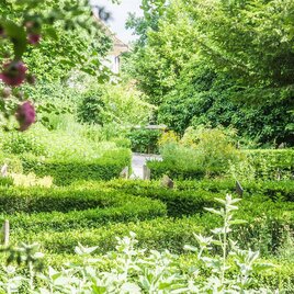 Kräutergarten Weizberg_Überblick_Oststeiermark | © Alexandra Wagner