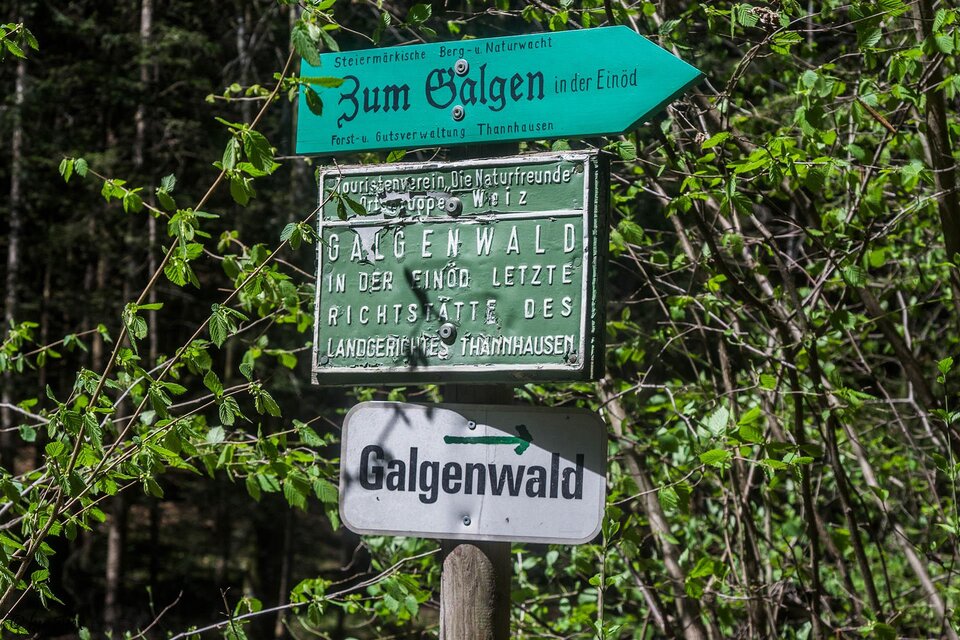 Richterstätte Galgenwald - Impression #1 | © Alexandra Wagner