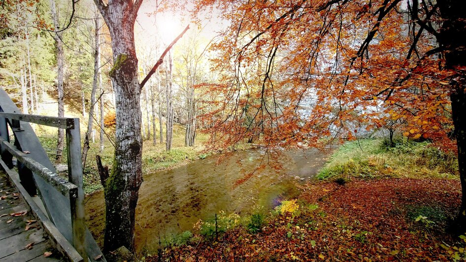 Raabklamm_Autumn Sun_Eastern Styria_Pollhammer | © Tourismusverband Oststeiermark