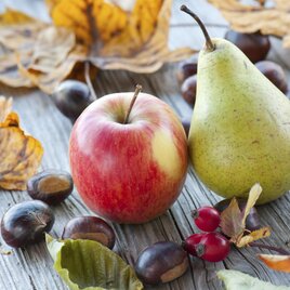 Apfel und Birne | © Helmut Schweighofer