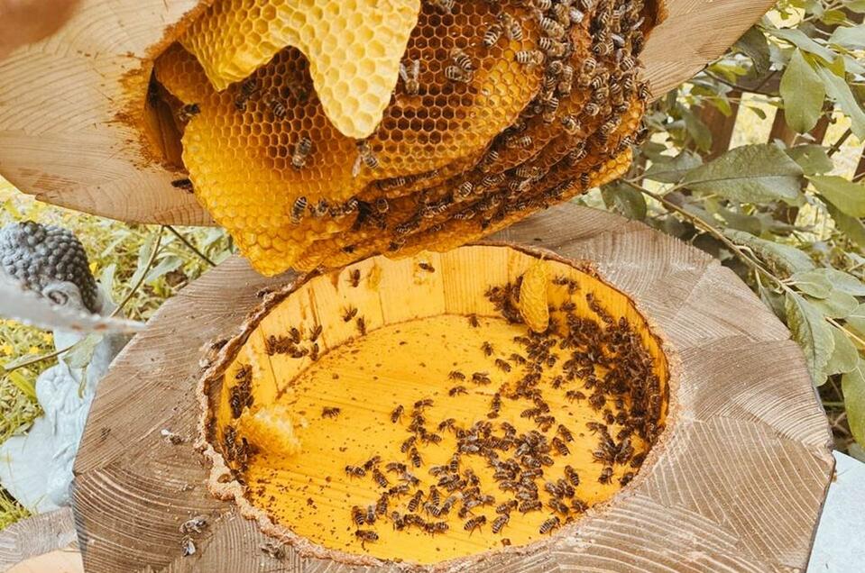 Farm-gate sale beekeeping specialized trade Janisch - Impression #1 | © Imkerei Janisch