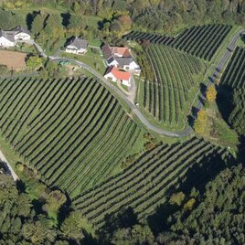 Luftbildaufnahme Obsthof Alber | © Martin Alber