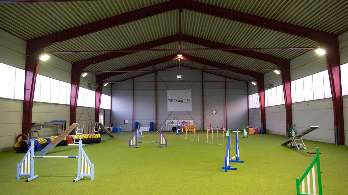 Eine große, offene Trainingshalle für Agility mit einem grünen Boden. Verschiedene Hindernisse sind im Raum aufgestellt. | © Simone Ullrich-Pansi
