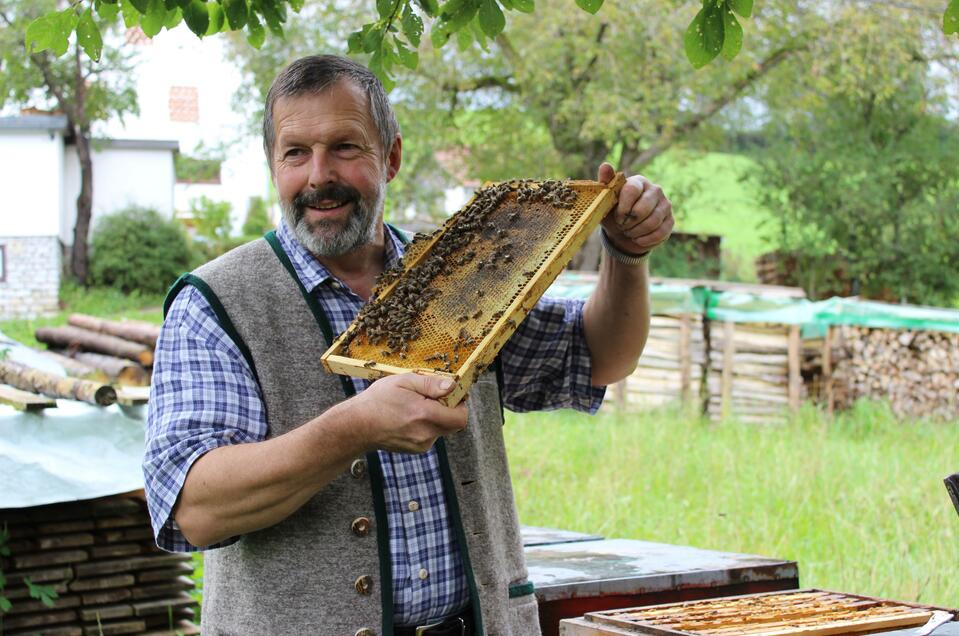 Almenland Beekeeping Kreiner - Impression #1 | © Tourismusverband Oststeiermark