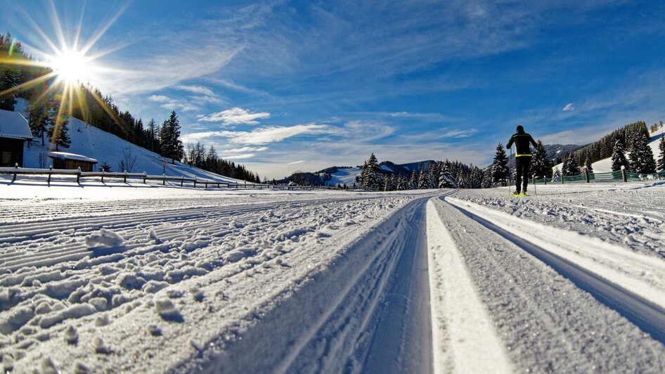 Almenland cross-country skiing trail_Path_Eastern Styria | © Tourismusverband Oststeiermark