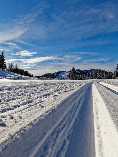 Amenland Loipen_Langlaufspur_Oststeiermark | © Tourismusverband Oststeiermark