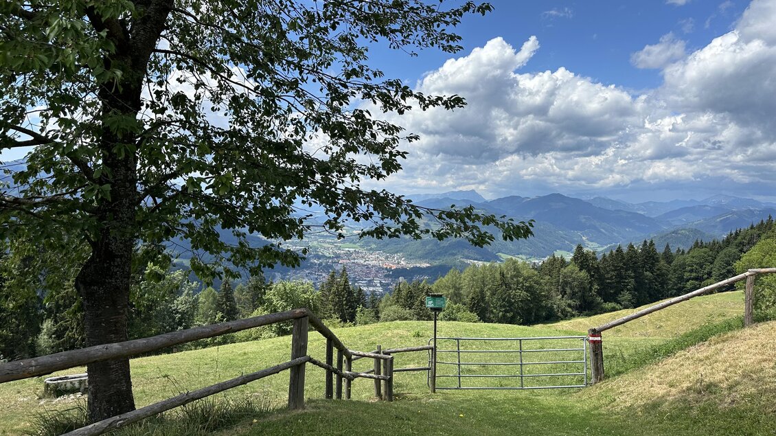Eine weitläufige Wiese mit einem Blick auf die Berge und den Himmel. Ein Baum spendet Schatten, während ein Zaun den Weg zum Horizont begrenzt. | © TV Hochsteiermark