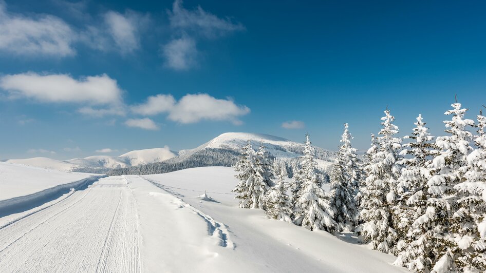 Altes Almhaus_Winterwandern | © Die Abbilderei