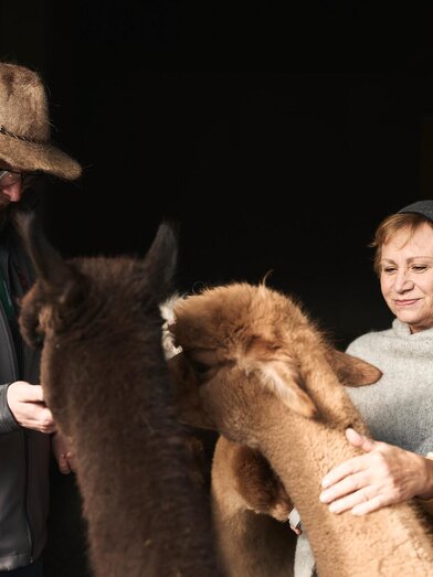 Alpaka Impuls I Hieflau I Gesäuse I Steiermark | © Stefan Leitner | Stefan Leitner