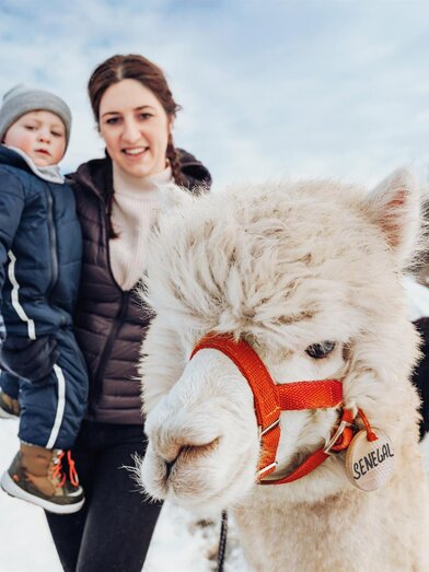 Alpaka Familien Ausflug Südsteiermark | Lupi Spuma | © TV Schilcherland Steiermark