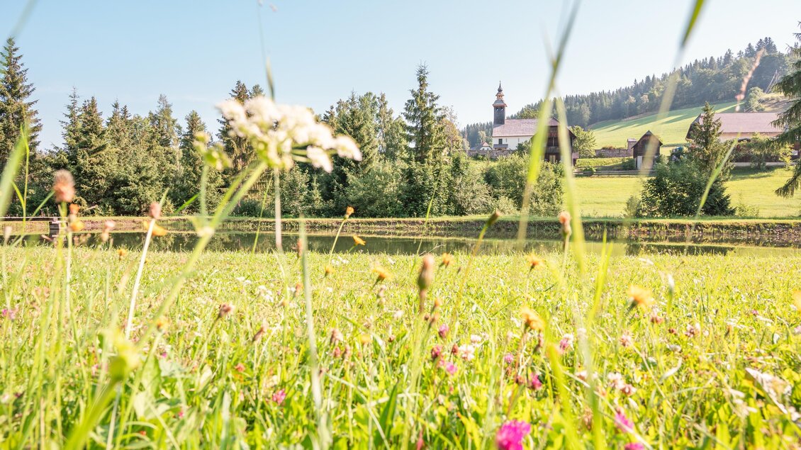 Hausteich_2