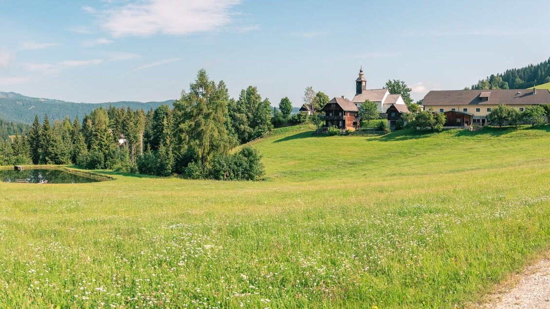 Panorama bei Moser
