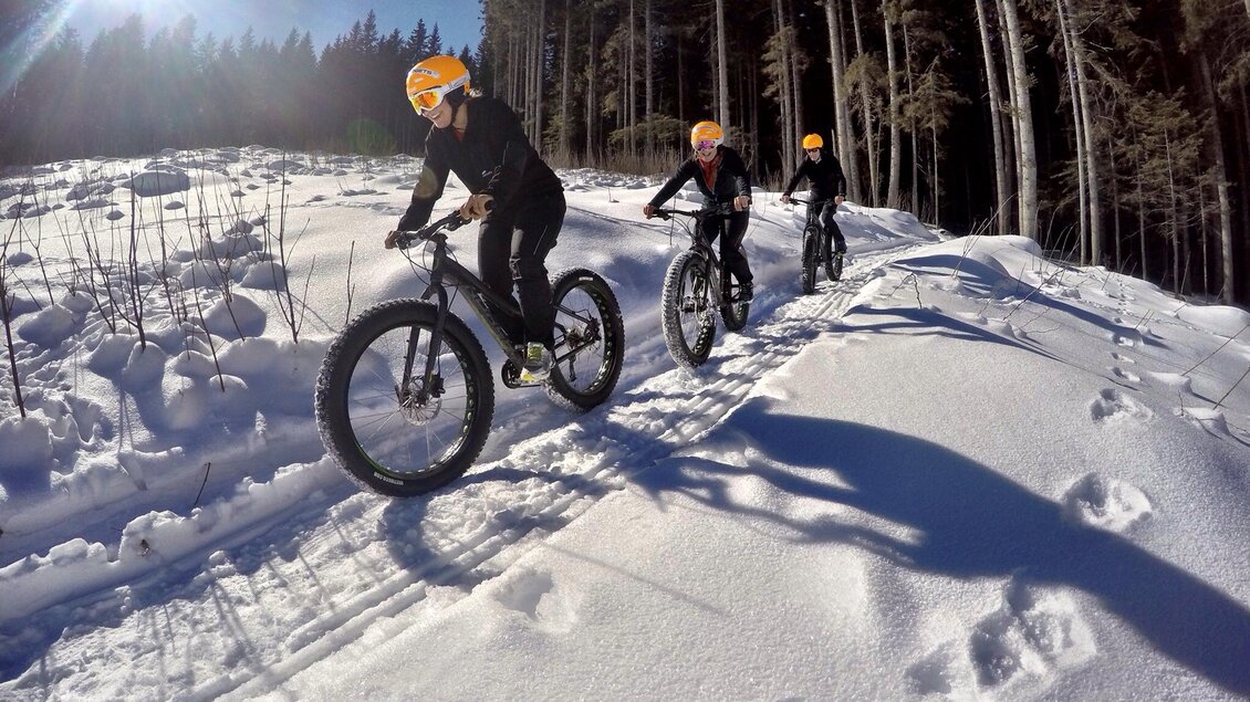Fatbiken durch den Wald.  | © Alpine Fatbike