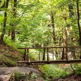 Altenbachklamm | © SYMBOL