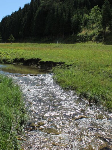 Mixnitz Stream_Summer_Eastern Styria | © Tourismusverband Oststeiermark