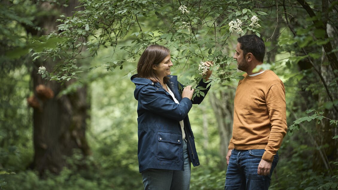 Ein Mann und eine Frau stehen im Wald und betrachten Pflanzen. Die Szene vermittelt eine entspannte Atmosphäre in der Natur. | © Nationalpark Gesäuse