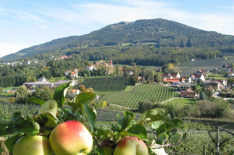 Buchgraber apple farm - Impression #1 | © Tourismusverband Oststeiermark