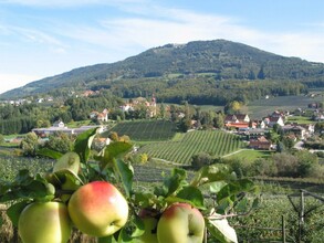 Apple farm_landscape_Eastern Styria | © Tourismusverband Oststeiermark