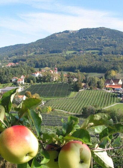 Apfelhof_Landschaft_Oststeiermark | Walter Schneider | © Tourismusverband Oststeiermark