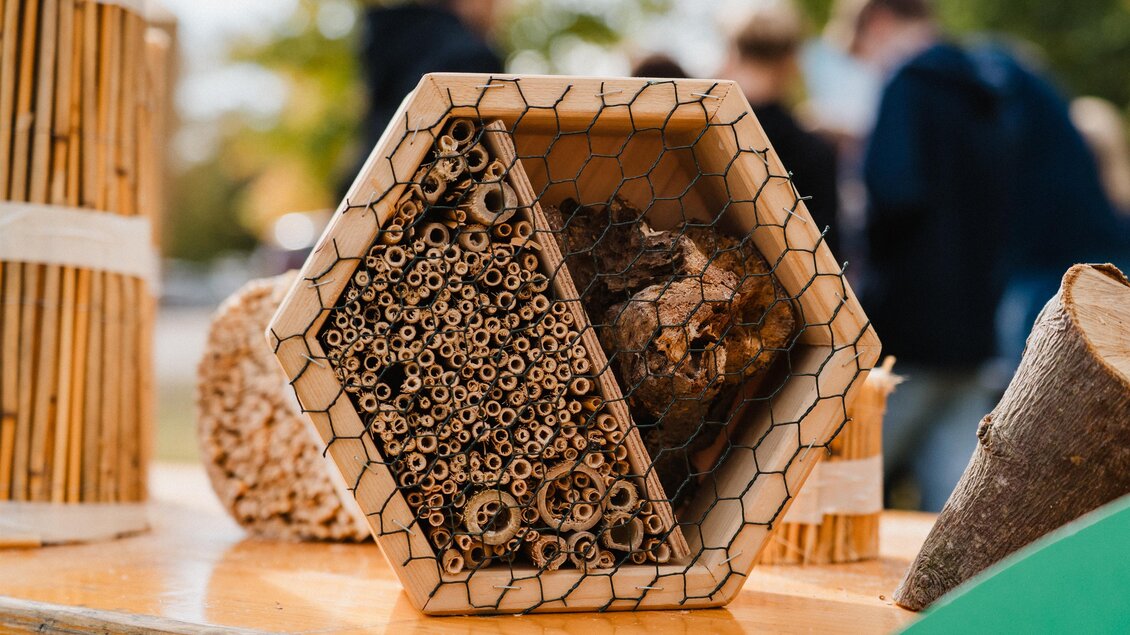 Insektenhotel_Pöllau_Oststeiermark | © MotionAds
