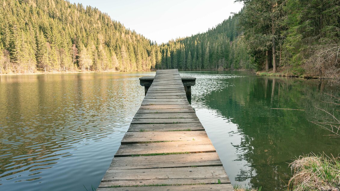 Ein Holzsteg führt über ruhiges Wasser zu einem Wald. Die Umgebung ist von grünen Bäumen umgeben und strahlt Ruhe aus. | © TVB Murau