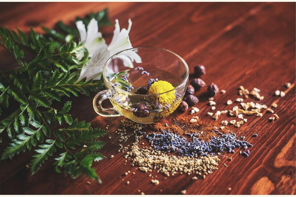 Augustiner Pharmacy - Impression #1 | © lisa-hobbs-unsplash