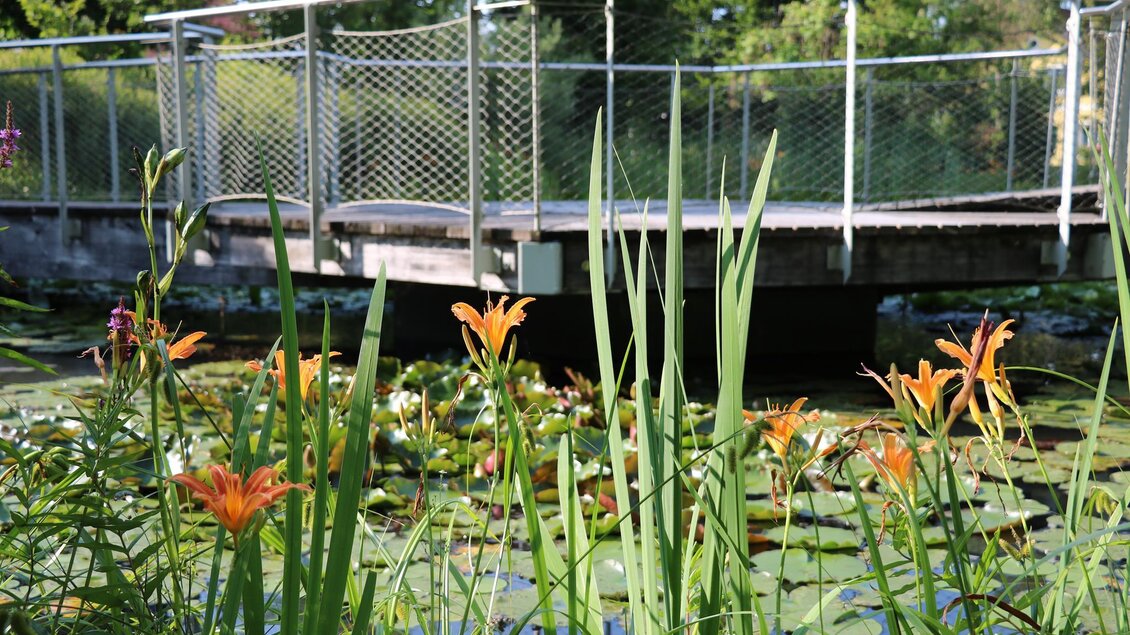 Eine idyllische Szene mit einer Brücke über einem Teich, umgeben von Seerosen. Bunte Blumen blühen im Vordergrund und verleihen der Umgebung Farbe. | © Julia Kerschbaumer