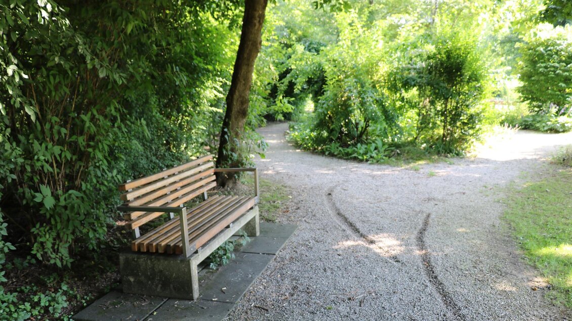 Eine ruhige Parkbank steht unter einem Baum in einer grünen Umgebung. Der Weg teilt sich in zwei Richtungen und ist von üppigem Pflanzenbewuchs umgeben. | © Julia Kerschbaumer