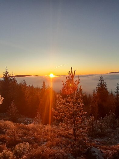 Fischbach_Aussichtsbankl Reithkogel_Oststeiermark | © Eva Reindl