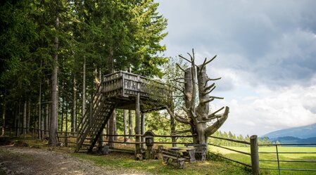 Aussichtsplattform-Ansicht3-Murtal-Steiermark | © Anita Fössl | Anita Fössl | © Anita Fössl