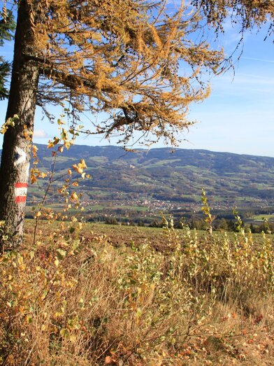Jochbauerhöhe_Ausblick_Oststeiermark | © Hermann Auerbäck