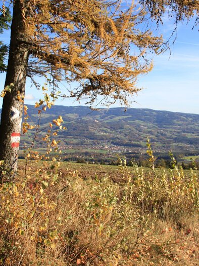 Jochbauerhöhe_View_Eastern Styria | © Hermann Auerbäck