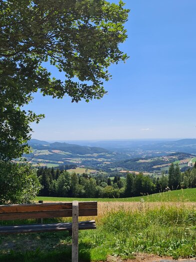 Schloffereck_Aussichtpunkt_Oststeiermark | Christine Schwetz