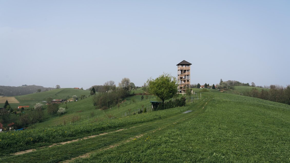 Ein grünes Feld mit sanften Hügeln und einem Aussichtsturm im Hintergrund. Der Himmel ist klar und freundlich. | © Thermen- & Vulkanland