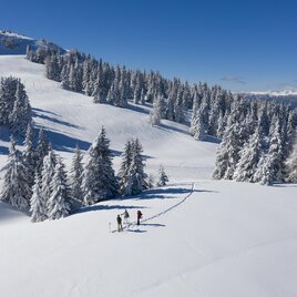 A snow-covered landscape with tall fir trees and clear blue sky. Two people are enjoying winter sports fun in the background. | © Tv Murau
