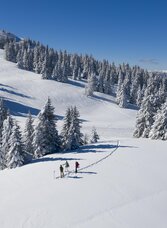Scheeschuhwandern_Frauenalpe | © Tv Murau | Steiermark Tourismus - Tom Lamm | © Tv Murau