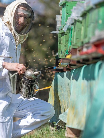 A beekeeper in protective clothing is working on his beehives. He holds a smoker in his hand while bees are flying around him. | © Jürgen Fuchs