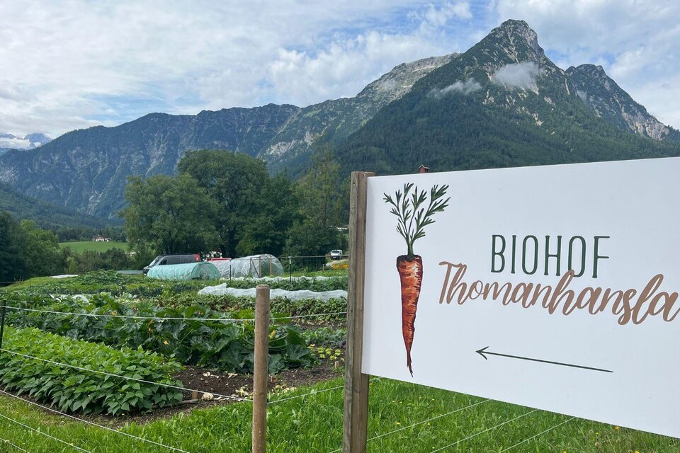 BIO-Hof Thomanhansla - Impression #1 | © TVB Ausseerland Salzkammergut/Gabi Grill